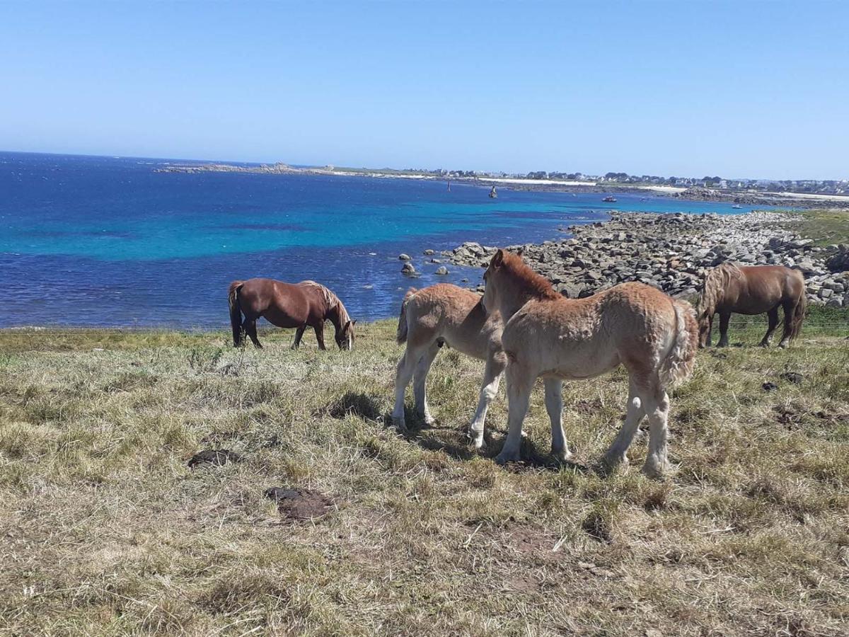 Les Portsallaises Piscine Ou Spa A 300M De La Plage Ploudalmézeau Dış mekan fotoğraf